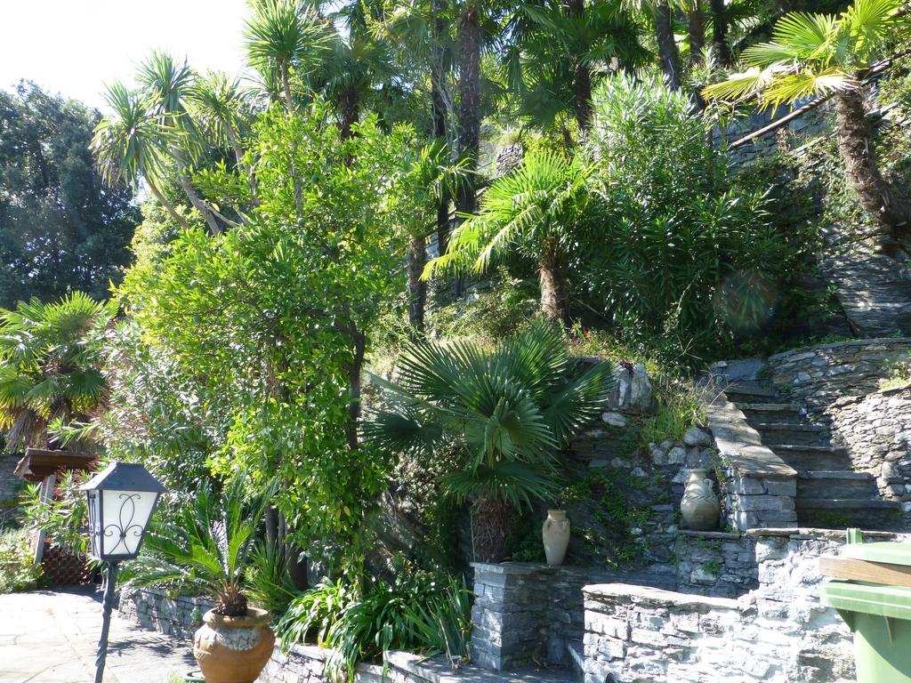 Ferienwohnung Casa Chatelain Ronco sopra Ascona Zimmer foto